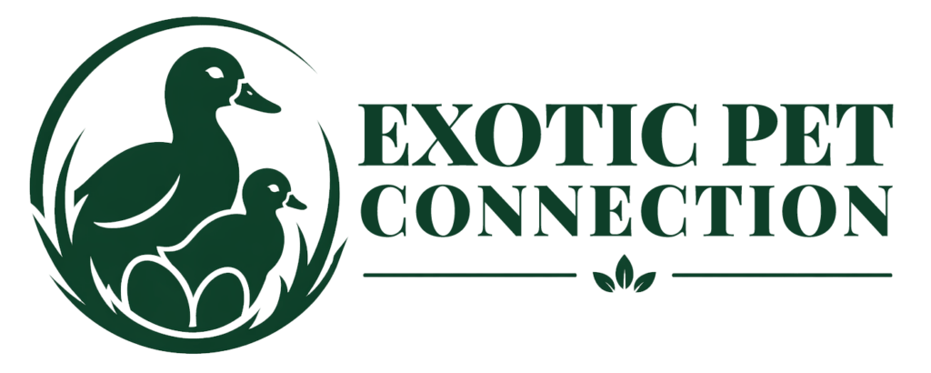 Exotic Pet Connection