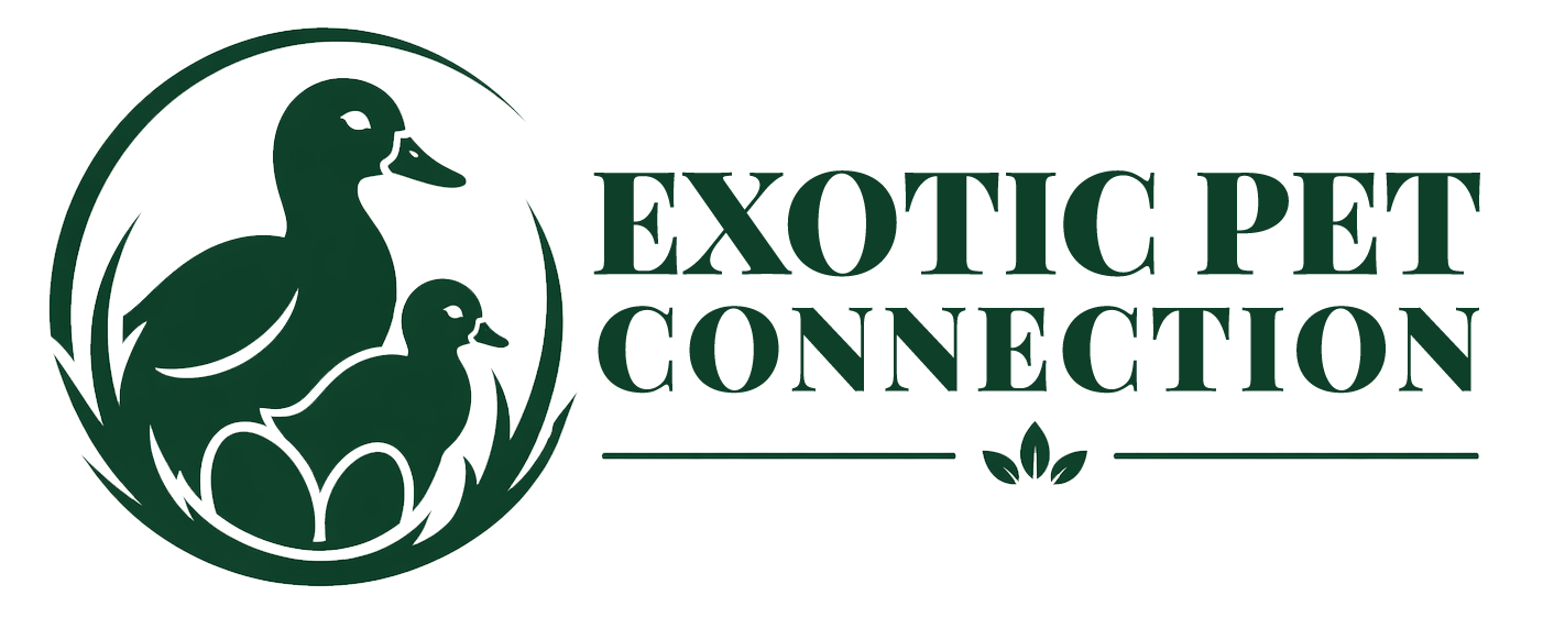 Exotic Pet Connection