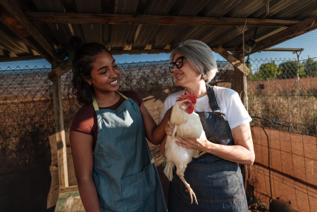 Two people holding chickens on a poultry farm