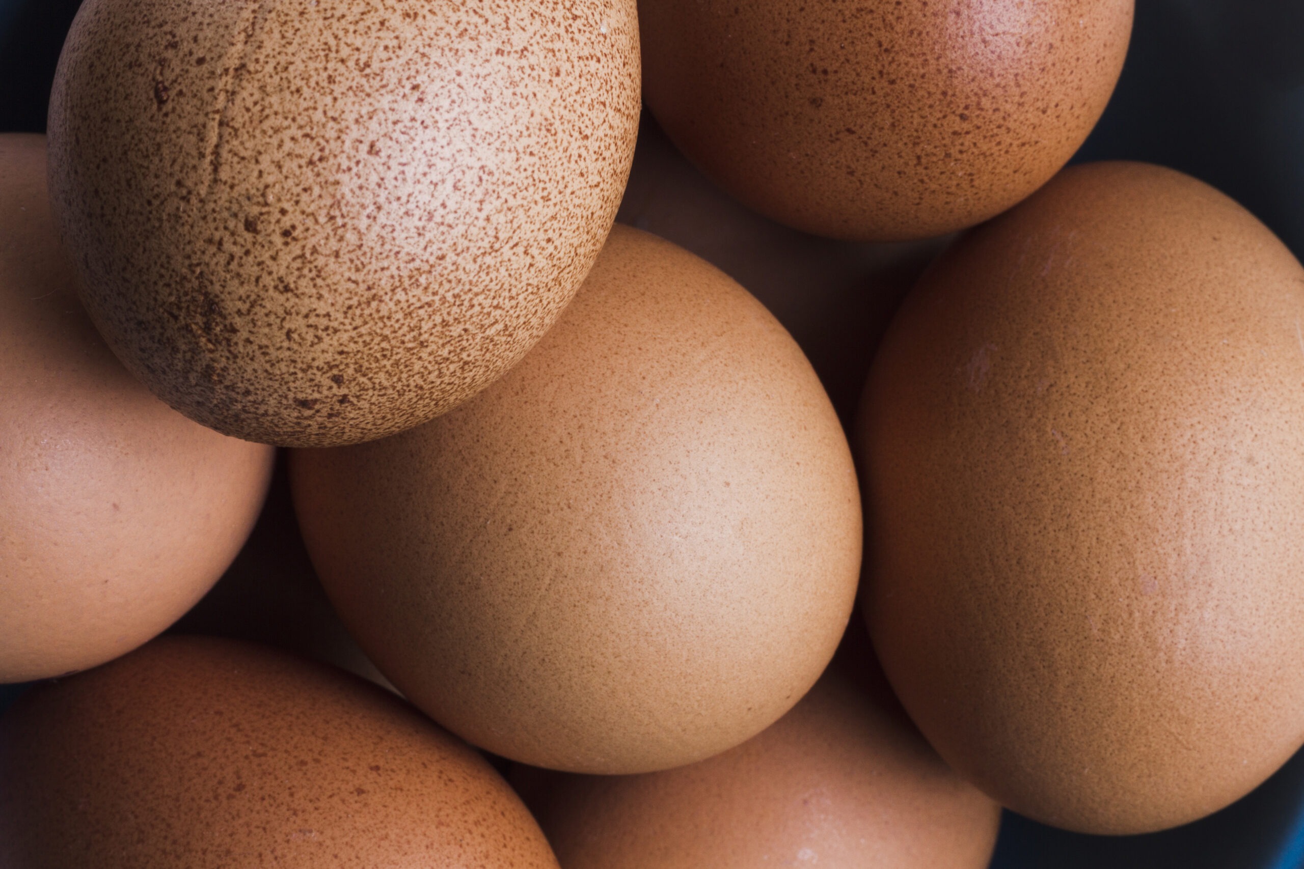 Eggs close-up