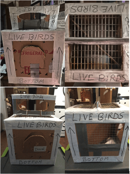 Homemade bird carrier with cardboard and mesh. Labeled "Live Birds" with arrows and a "Door" cutout. Functional, inventive design.